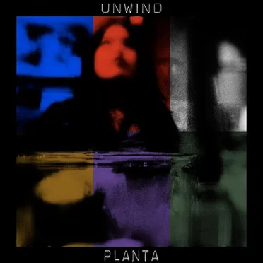 Unwind by Planta - album cover