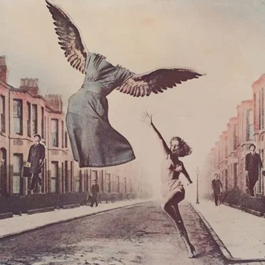 Set Your Lightning Fire Free by Shana Falana - album cover