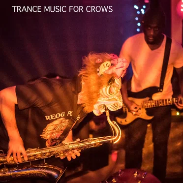 Trance Music for Crows