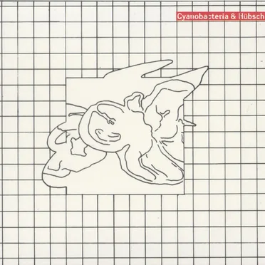 Are You an Orchid or a Dandelion?