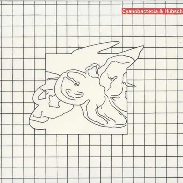 Are You an Orchid or a Dandelion?