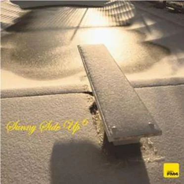 FM4 Sunny Side Up 06 by Various Artists - album cover