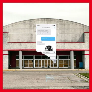 Bought to Rot by Laura Jane Grace and the Devouring Mothers - album cover