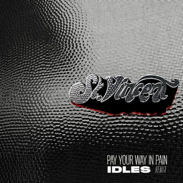 Pay Your Way in Pain (IDLES remix)