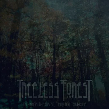 Through the River, Through the Noise by Treeless Forest - album cover