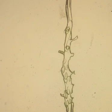 Nothing Under a Microscope