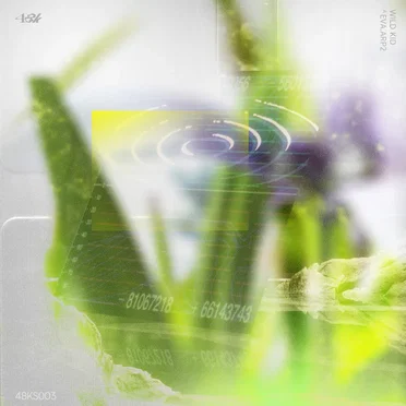 EVA.ARP2 by Wild Kid - album cover