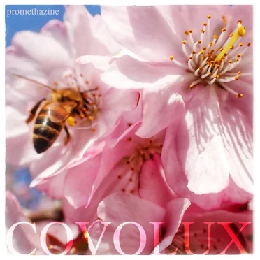 Covolux