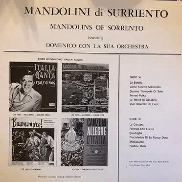 Domenico con la sua orchestra