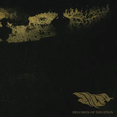 Delusion of Negation by Zolfo - album cover