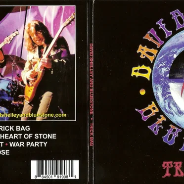 Trick Bag by David Shelley & Bluestone - album cover