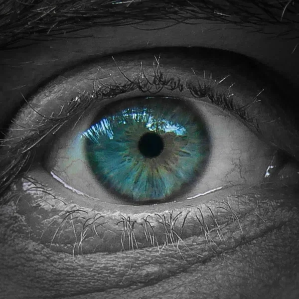 Les yeux ouverts, je rêve