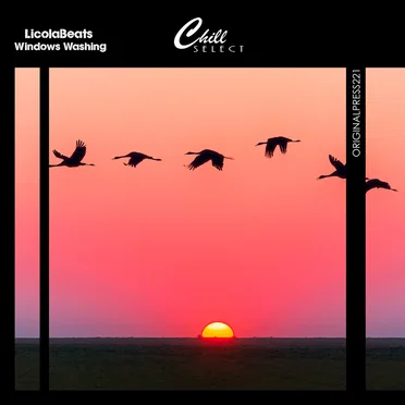 Windows Washing by LicolaBeats - album cover
