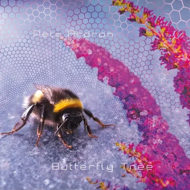 Butterfly Tree by Pete Ardron - album cover