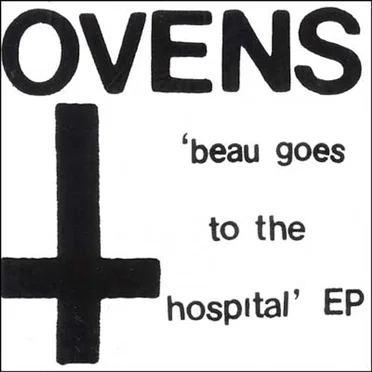 Beau Goes to the Hospital