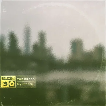 My Steeze