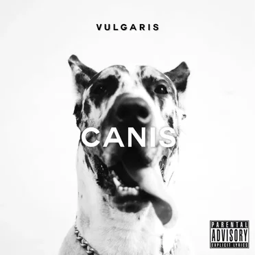 Vulgaris by Canis - album cover