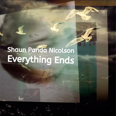 Everything Ends by Shaun Panda Nicolson - album cover
