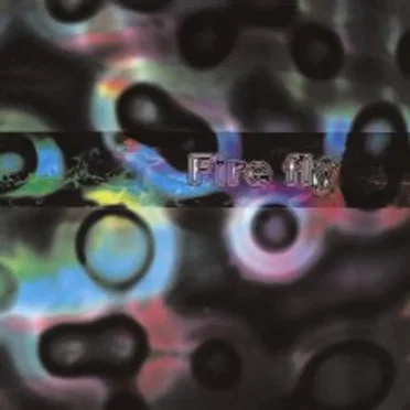 Swings and Roundabouts by Fire Fly - album cover