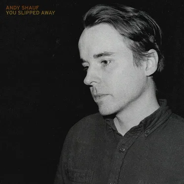 You Slipped Away by Andy Shauf - album cover