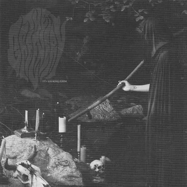 It's Looking Grim by The Greenery - album cover