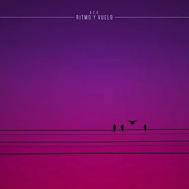 Ritmo y Vuelo
