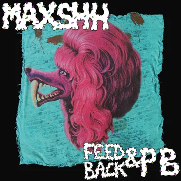 Feedback & PB by Maxshh - album cover