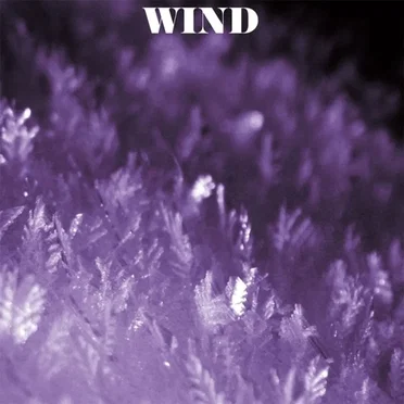 Wind & Friends by Wind - album cover