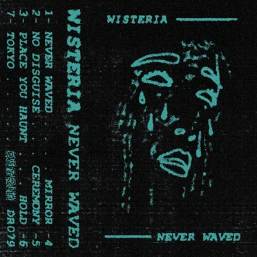 Never Waved by Wisteria - album cover