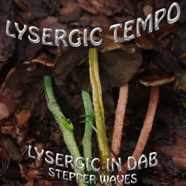 Lysergic in Dab: Stepper Waves
