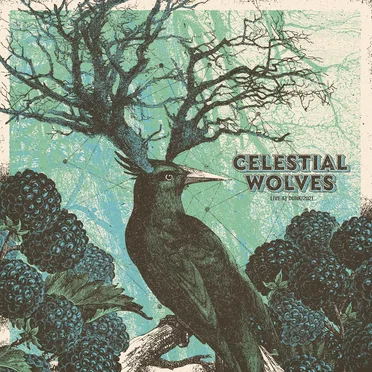 Celestial Wolves • Live at dunk!2021 by Celestial Wolves - album cover