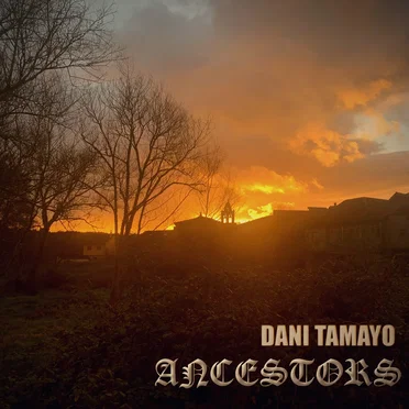 Ancestors by Dani Tamayo - album cover