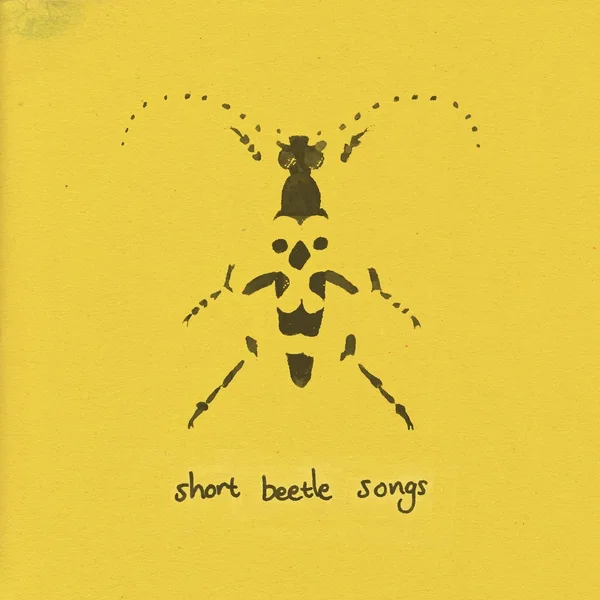 short beetle songs