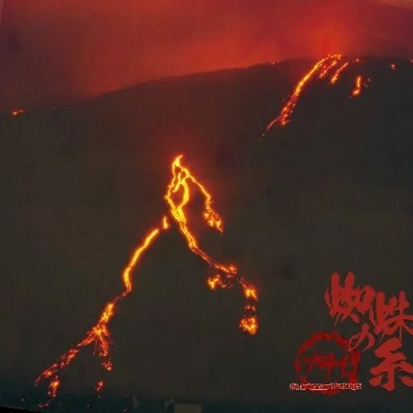 蜘蛛の糸