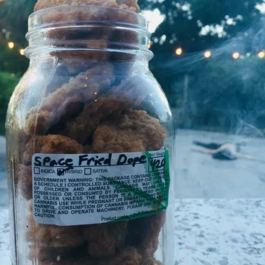 Space Fried Dope by Space Coast Ghosts - album cover