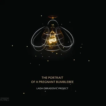 The Portrait Of A Pregnant Bumblebee by Lada Obradović - album cover