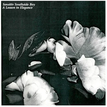 A Lesson in Elegance by Sensitiv Southside Boy - album cover