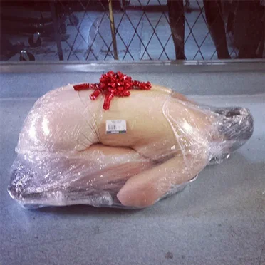 Meat Prize by Team Ugly - album cover