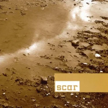 Scar by Scar - album cover
