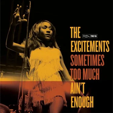 Sometimes Too Much Ain’t Enough by The Excitements - album cover