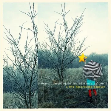 I Heard Something in the Distance, Volume 2 - A BFW Recordings Sampler by Various Artists - album cover