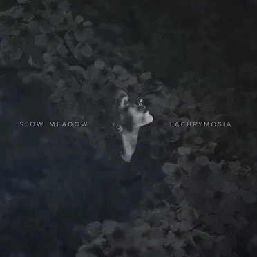 Lachrymosia / Some Familiar...