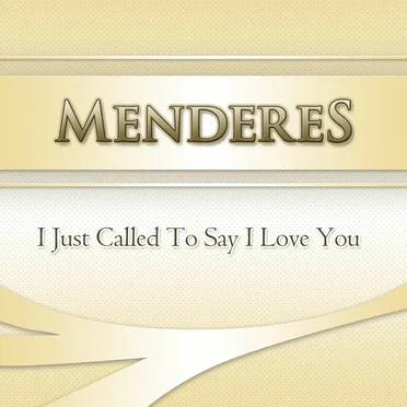 I Just Called to Say I Love You