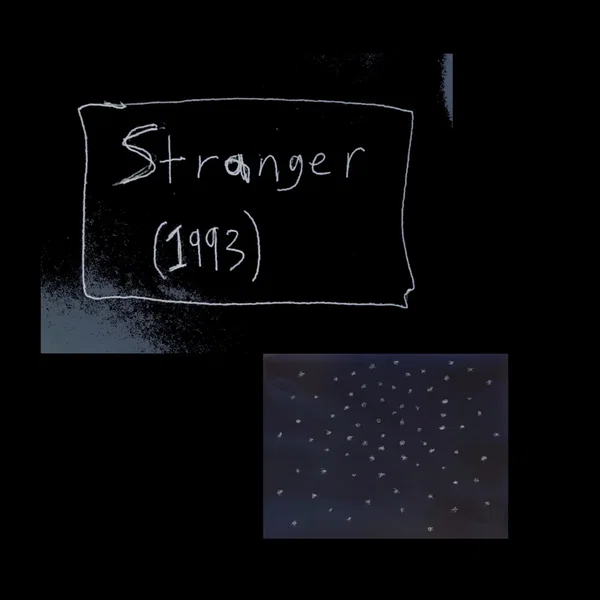 Stranger (1993)