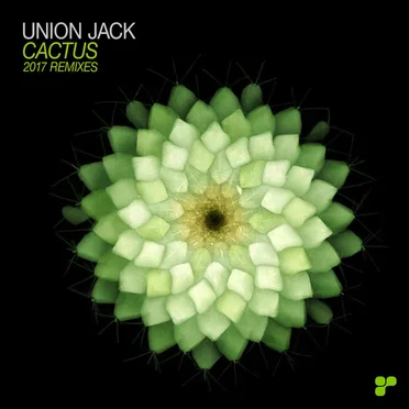 Cactus - 2017 Remixes by Union Jack - album cover