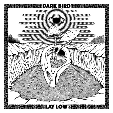 Dark Bird
