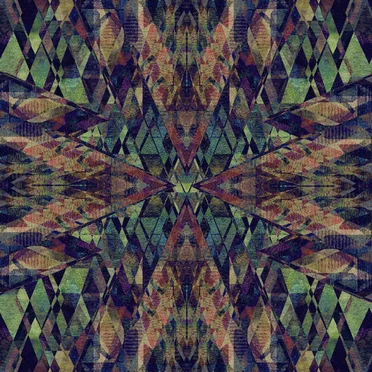 Silver Firs by Silver Firs - album cover