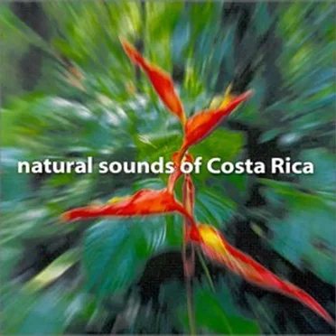 Natural Sounds Of Costa Rica