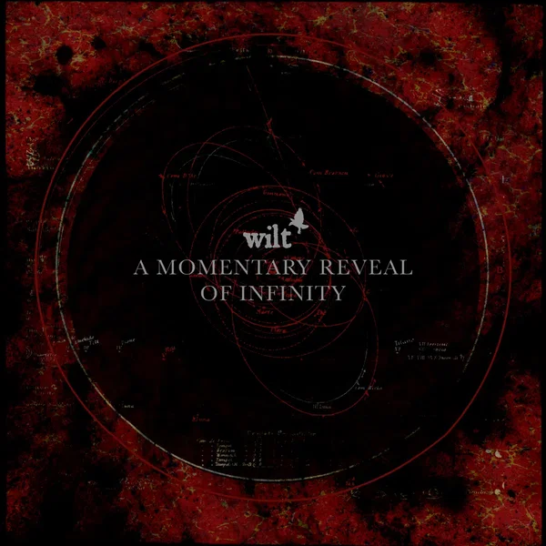 A Momentary Reveal of Infinity