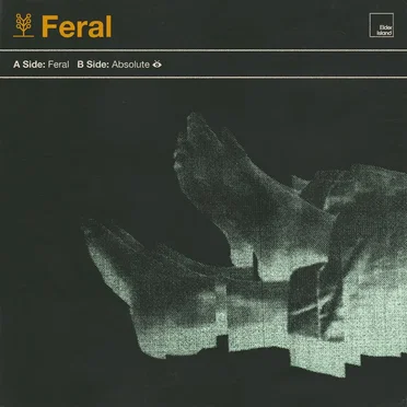 Feral by Elder Island - album cover
